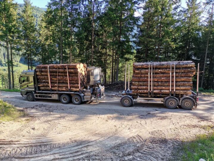 Dorrer GmbH Transporte Holztransporte